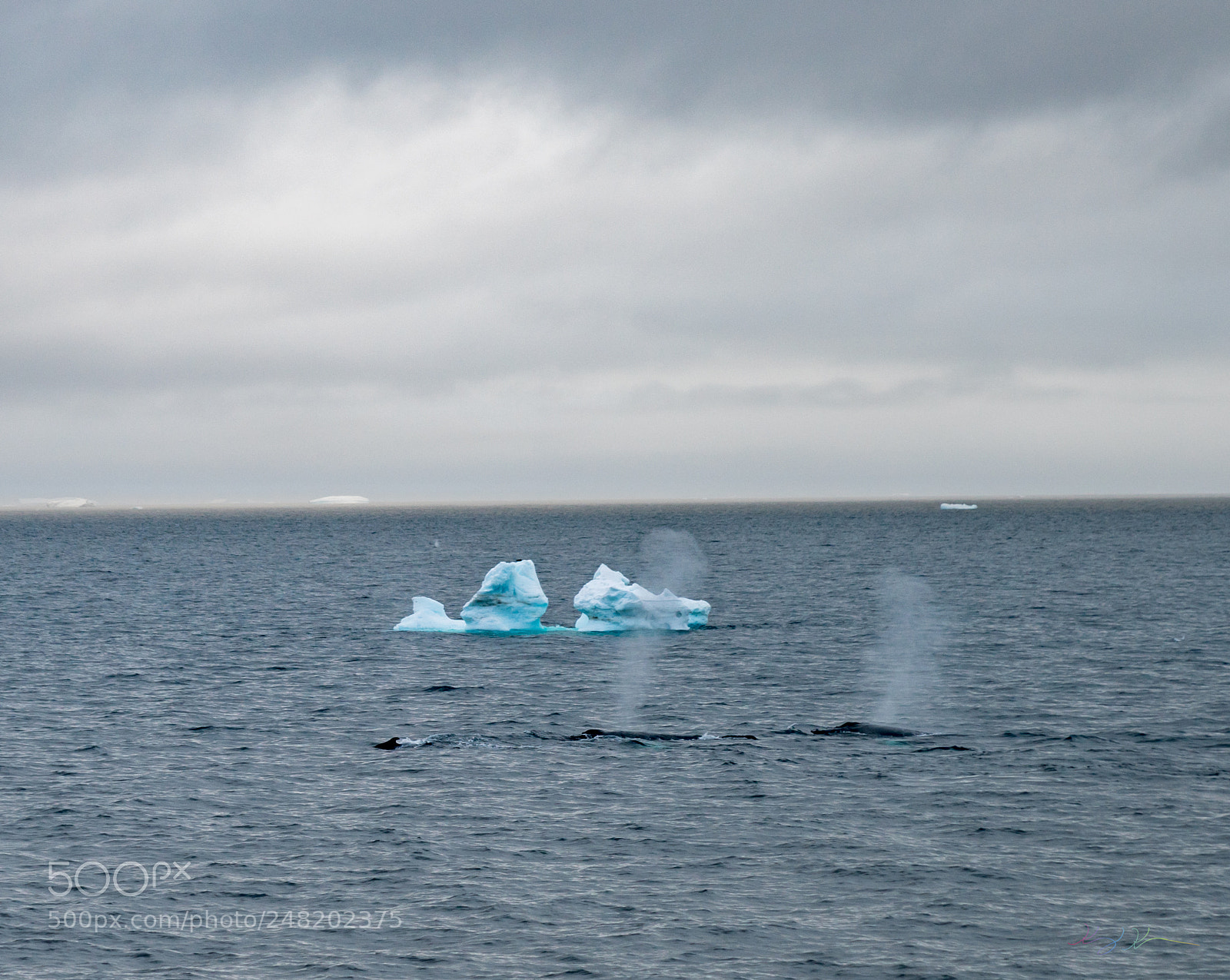 Sony a7R II sample photo. Antarctica expedition photography