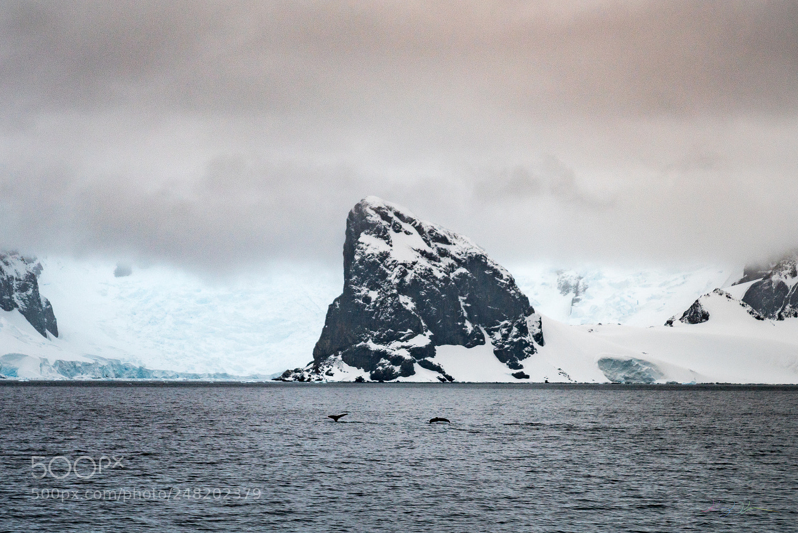Sony a7R II sample photo. Antarctica expedition photography