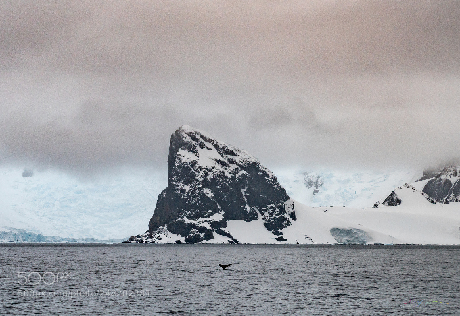 Sony a7R II sample photo. Antarctica expedition photography