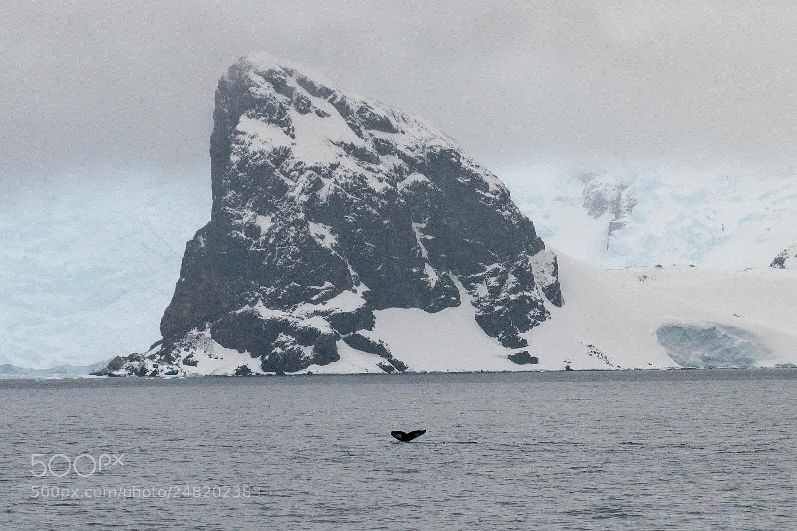 Sony a7R II sample photo. Antarctica expedition photography