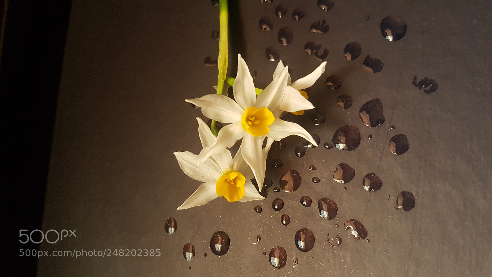 Samsung Galaxy S7 Edge sample photo. Untitled photography