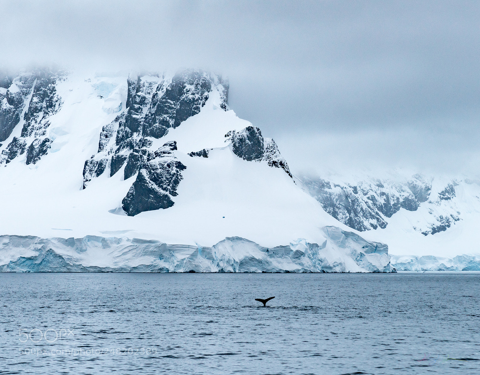 Sony a7R II sample photo. Antarctica expedition photography