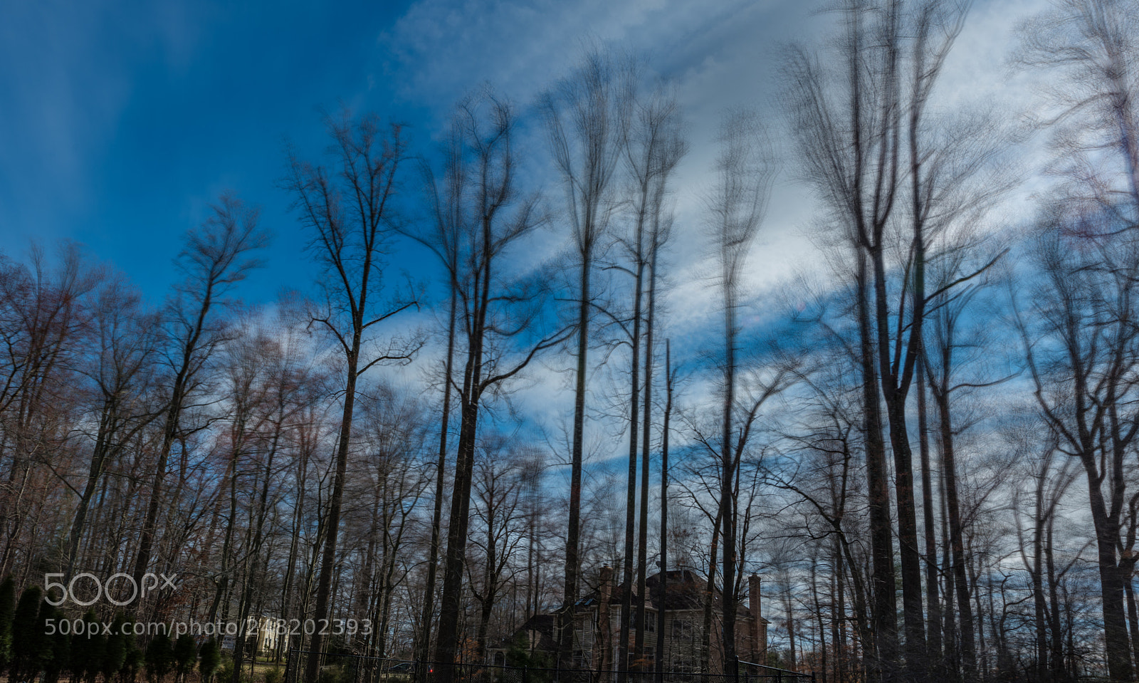 Nikon D800 sample photo. Blowing nor'easter wind photography