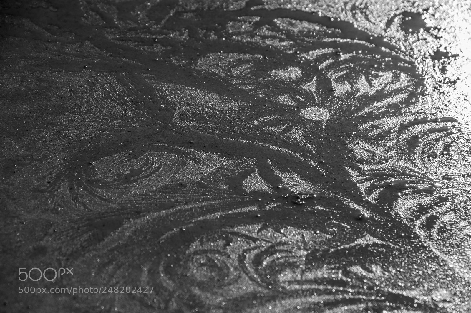 Sony a5100 sample photo. Ice-flower photography