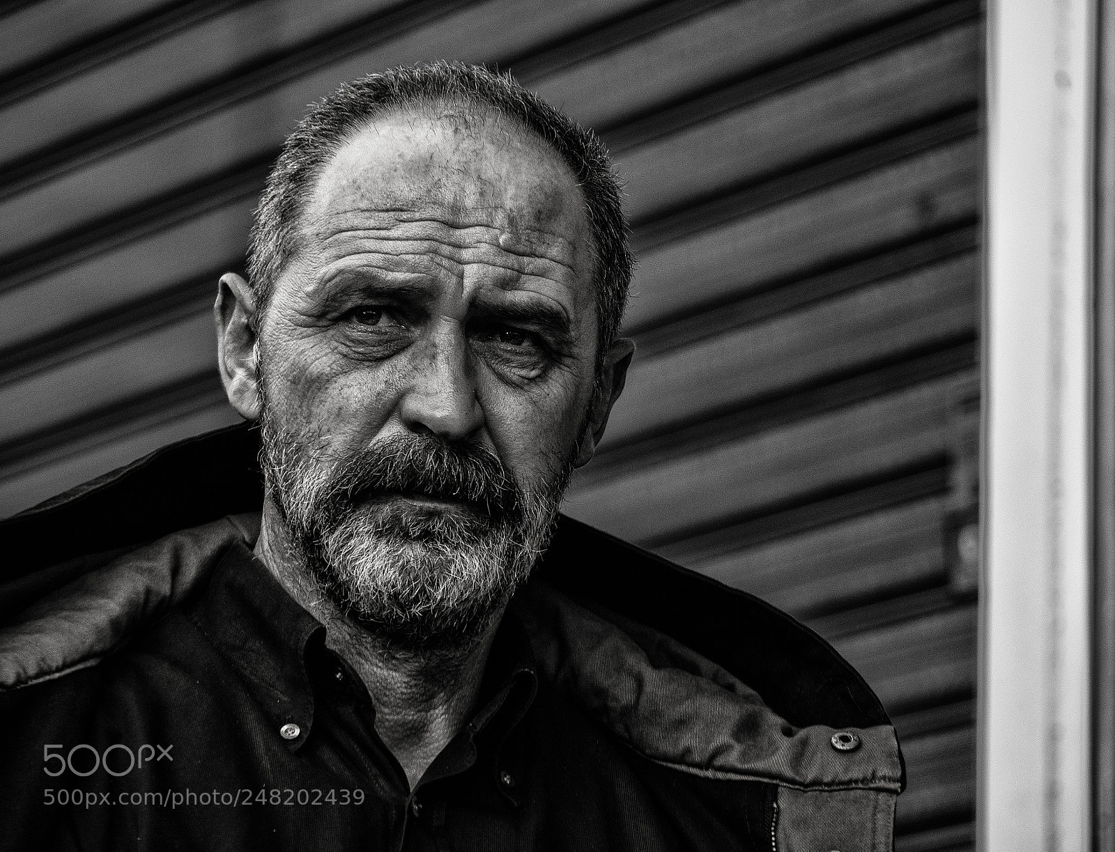 Olympus OM-D E-M1 sample photo. A distinguished looking man photography