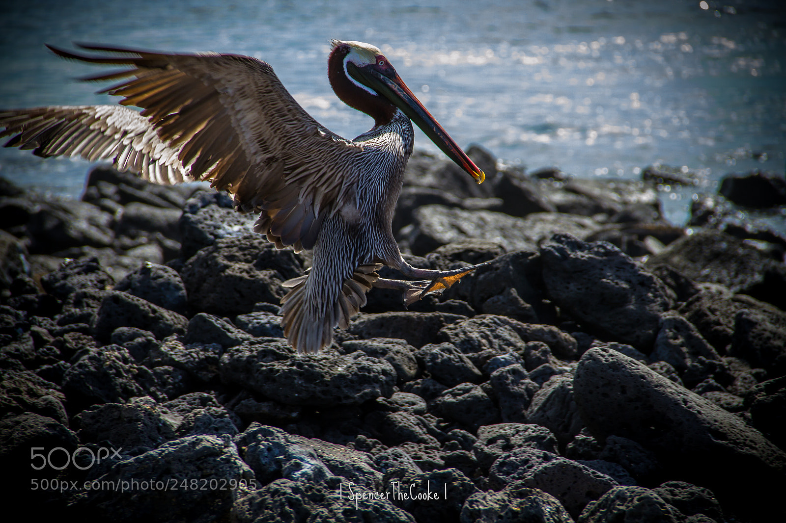 Canon EOS 7D sample photo. Cleared for landing photography