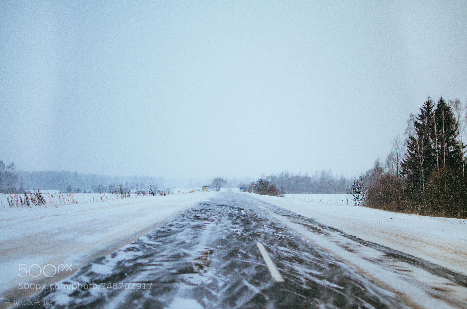 Nikon D5100 sample photo. I usually run here photography