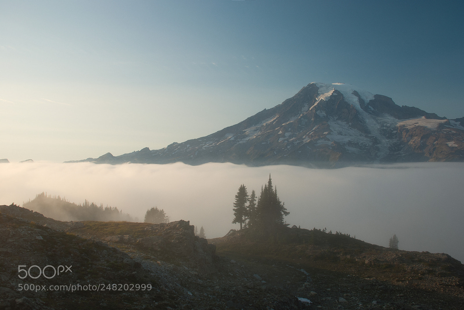 Nikon D80 sample photo. Mount rainier photography