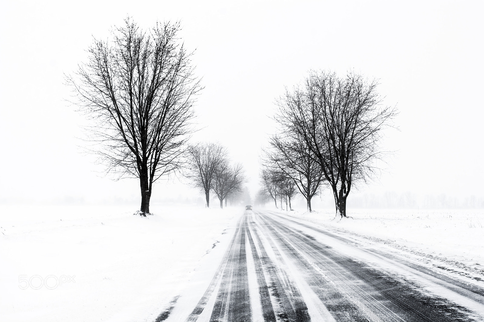 Nikon D7100 sample photo. Winteriscoming photography