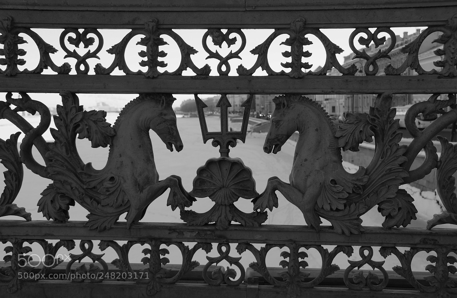 Sony SLT-A77 sample photo. Fragment of the lattice photography