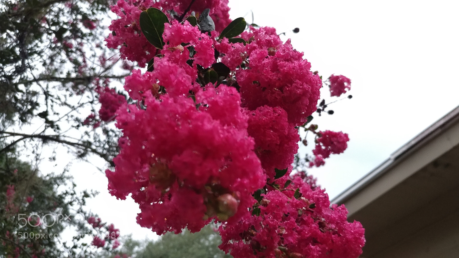 LG V20 sample photo. Untitled photography