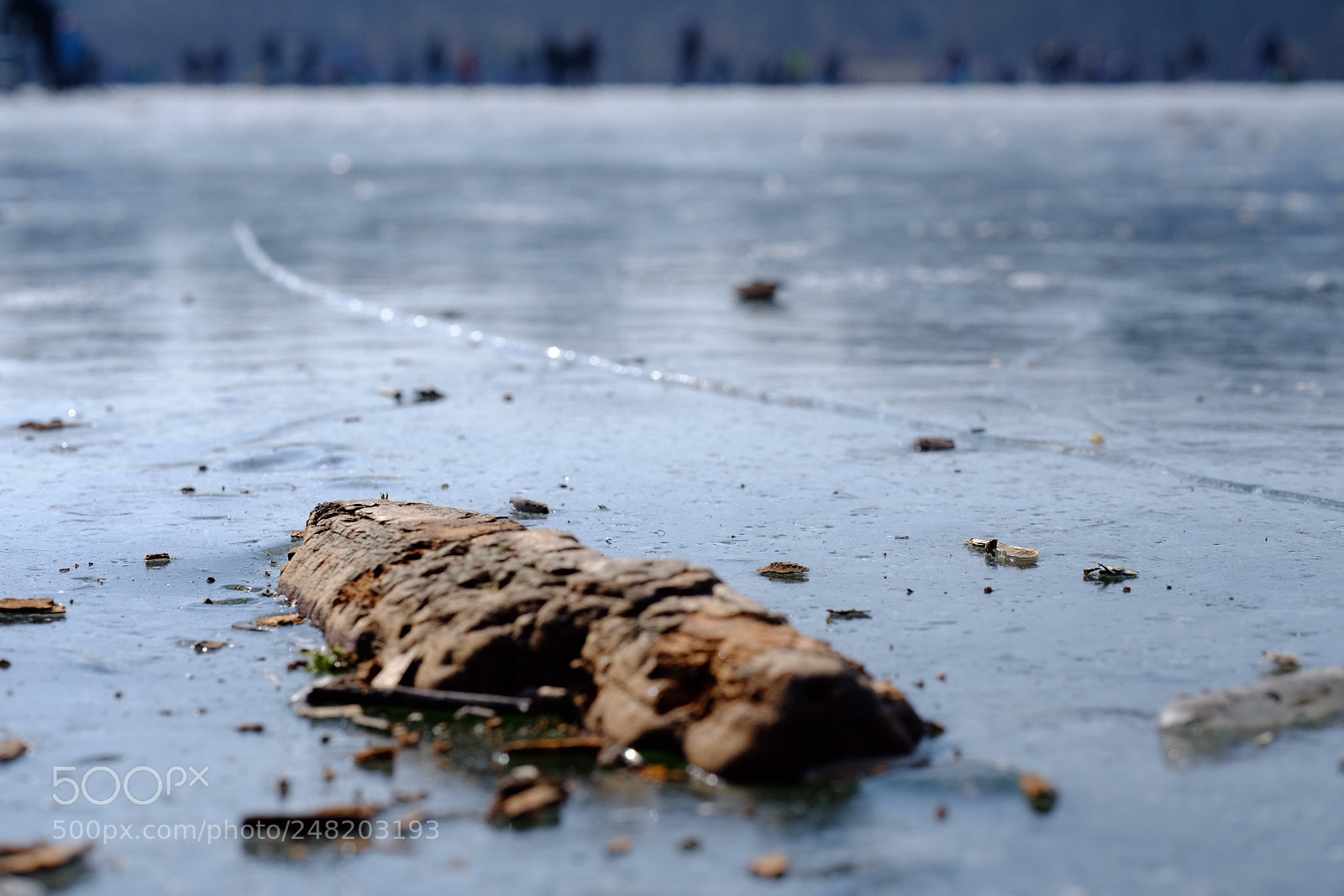 Fujifilm X-T10 sample photo. Ice photography