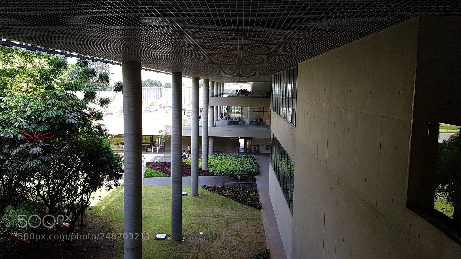 Samsung Galaxy S8+ sample photo. Natura office photography