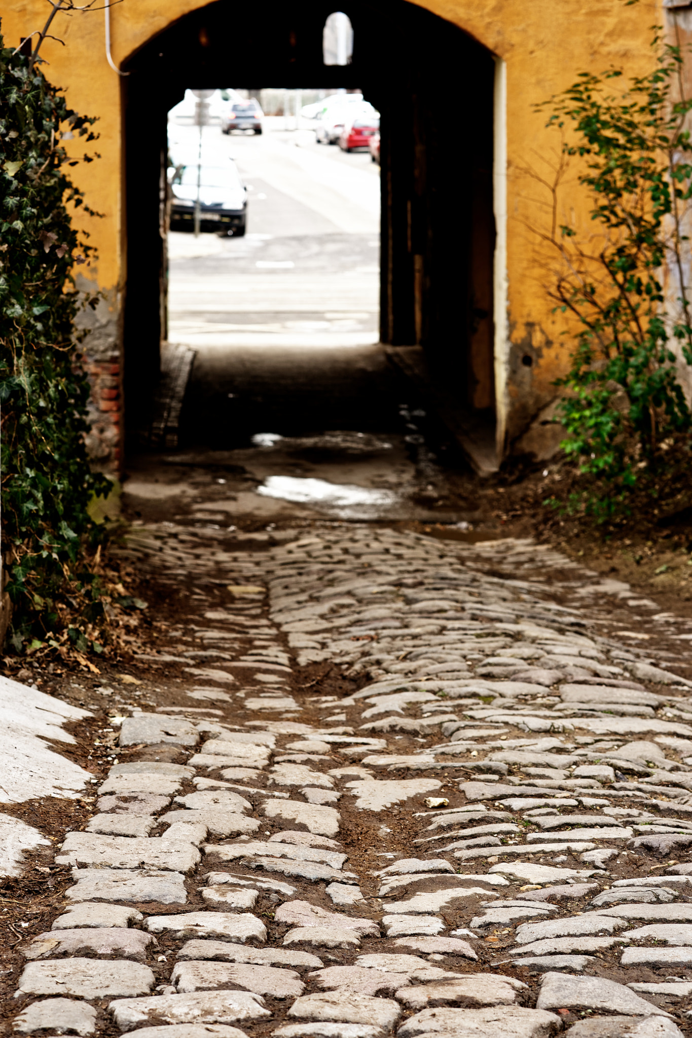 Sony a7 II + ZEISS Batis 85mm F1.8 sample photo. Old cobblestone-covered street photography