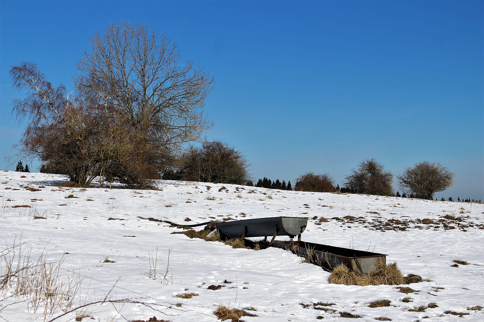Canon EOS 700D (EOS Rebel T5i / EOS Kiss X7i) sample photo. Fields in snow photography