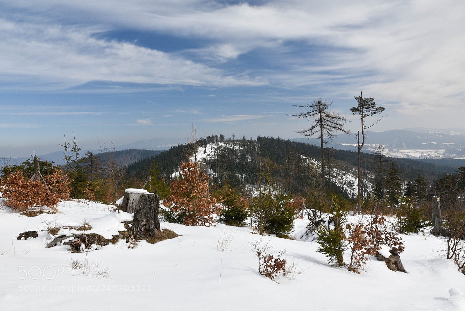 Nikon D7200 sample photo. Untitled photography