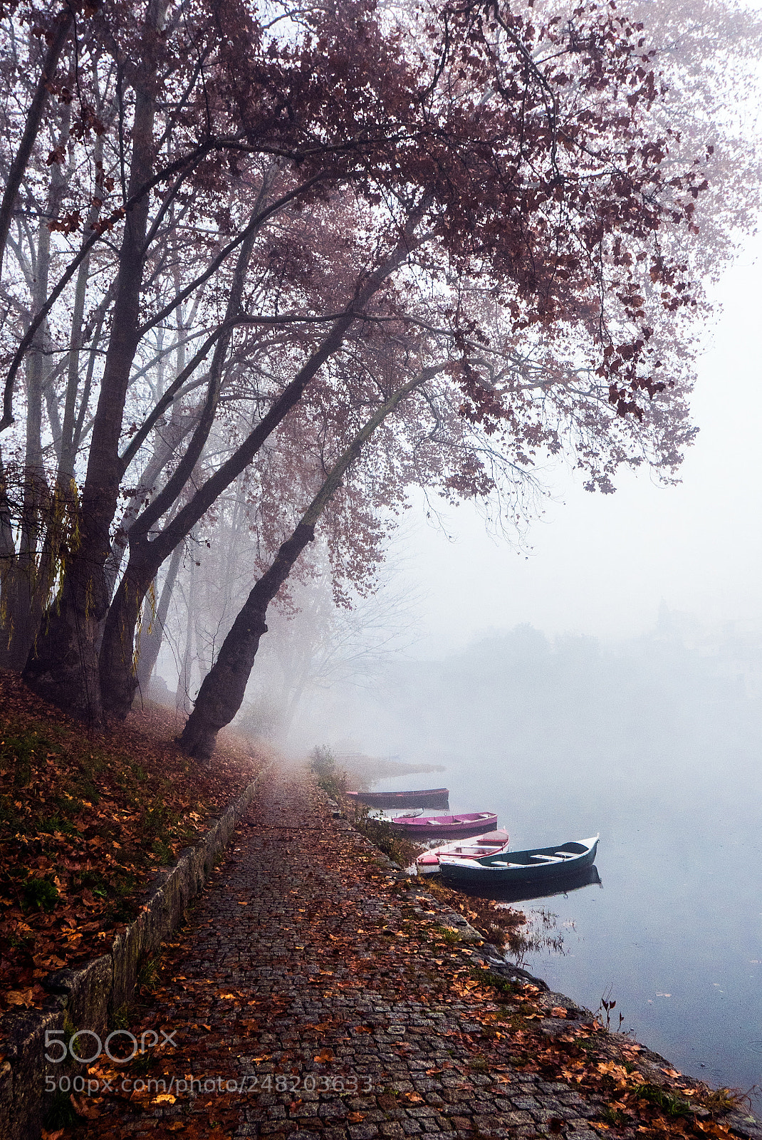 Panasonic Lumix DMC-LX100 sample photo. Stillness.jpg photography