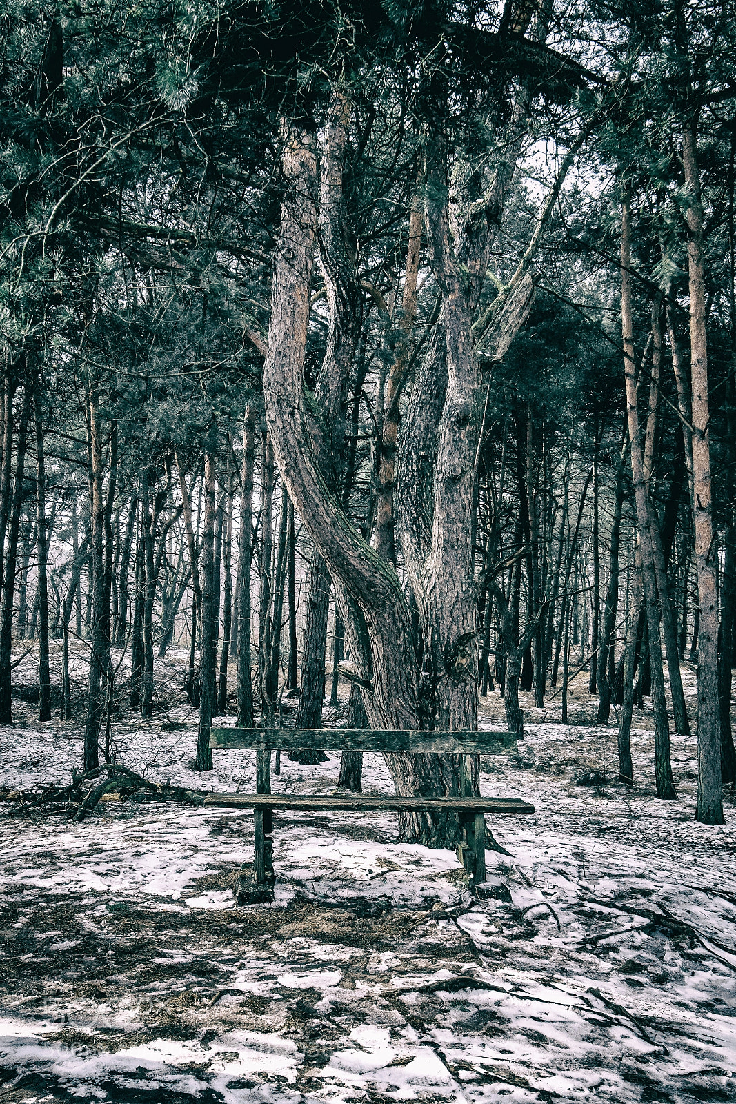 Nikon D500 sample photo. A place to rest... photography