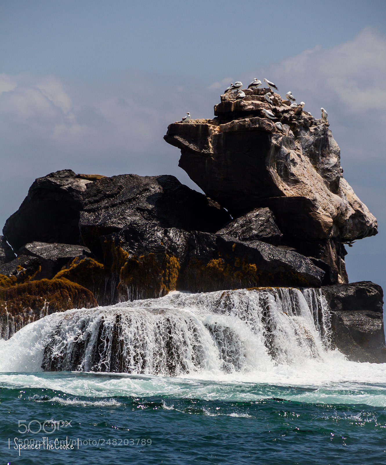 Canon EOS 7D sample photo. Boobies on a rock photography