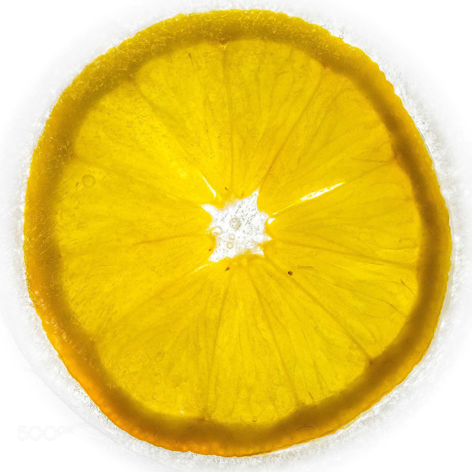 Nikon D810 sample photo. Frozen lemon photography
