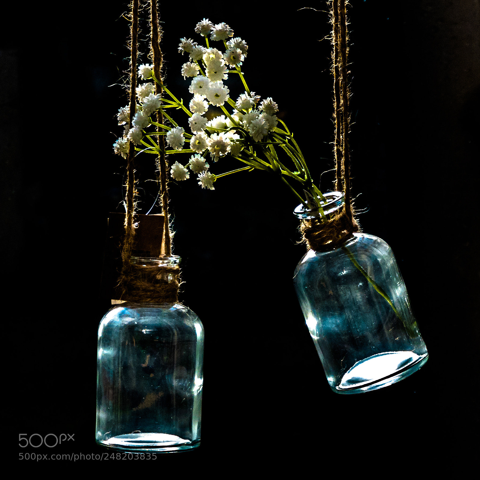 Panasonic Lumix DMC-FZ200 sample photo. Flying glass with flowers photography