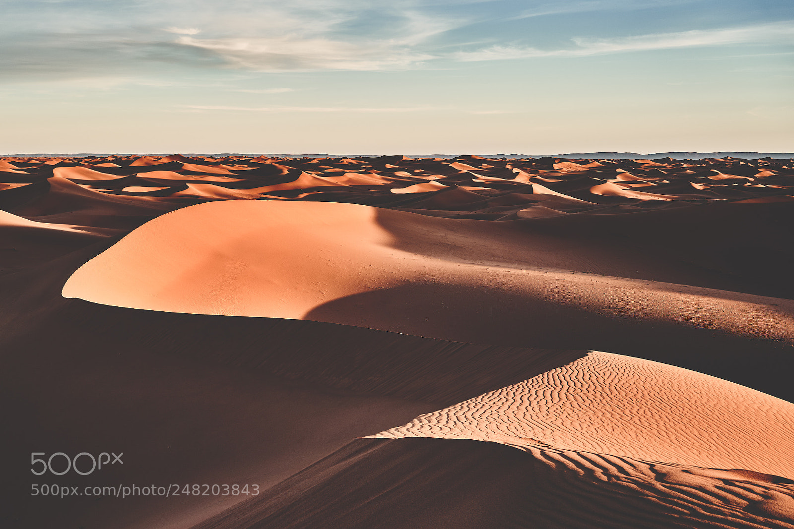Sony a7R III sample photo. Sahara photography