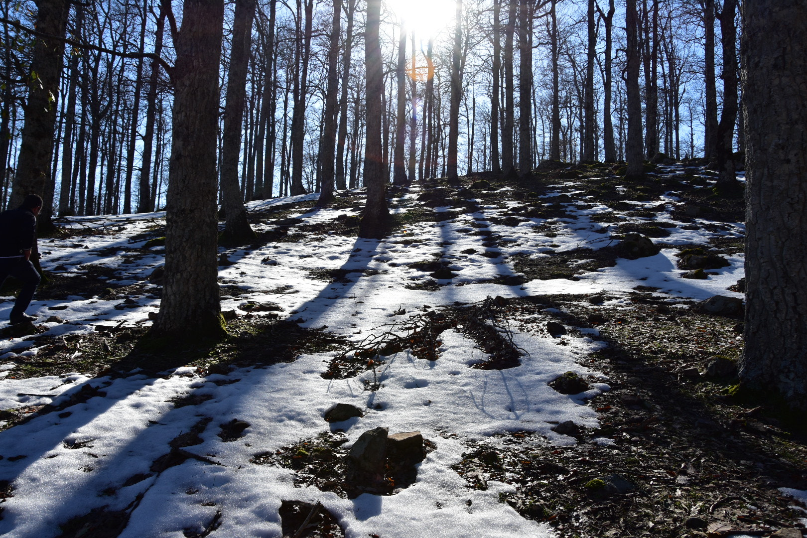 Nikon D3400 sample photo