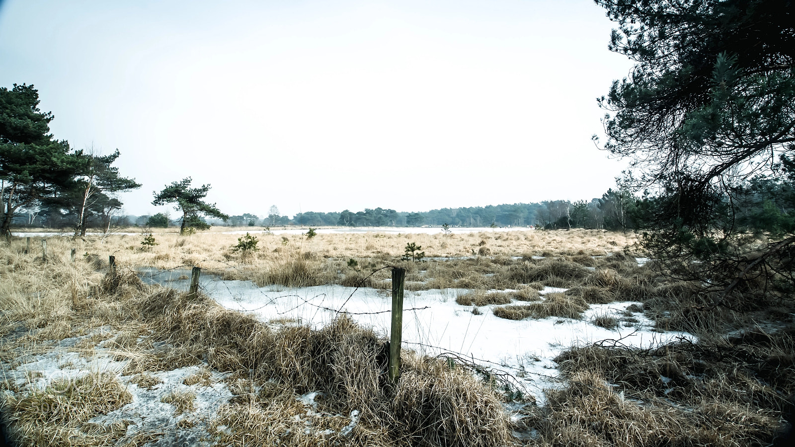 Nikon D500 sample photo. No passing through.. photography