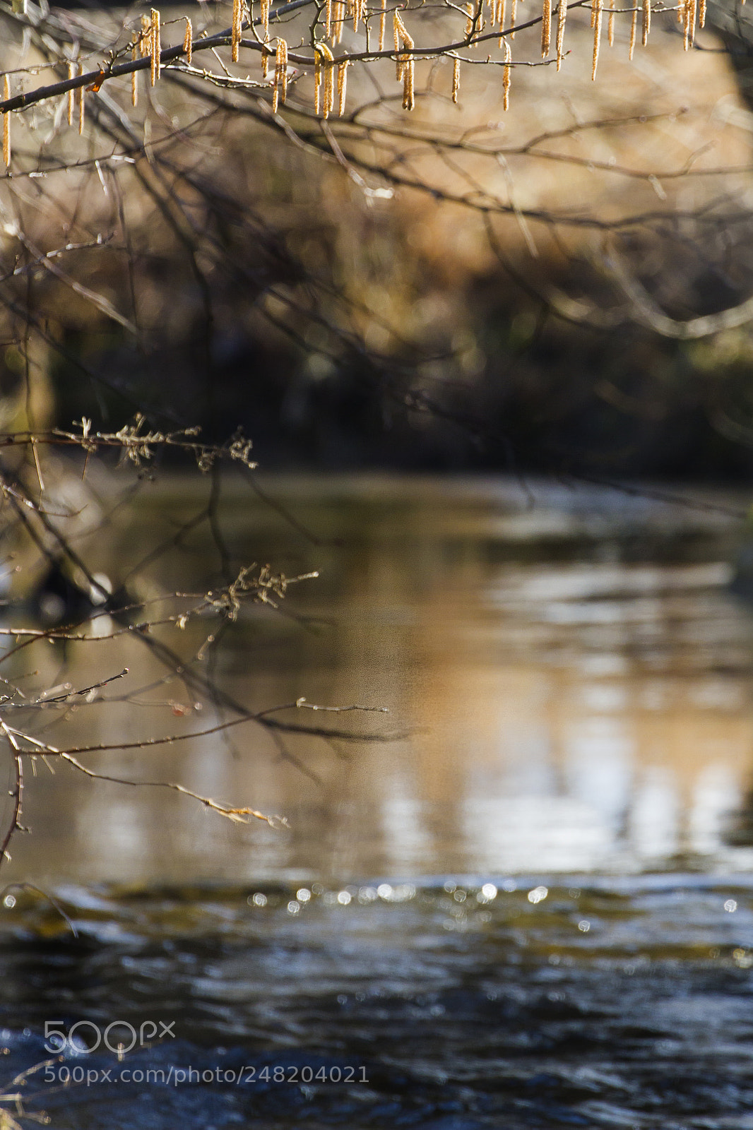 Canon EOS 7D sample photo. Holzbach photography