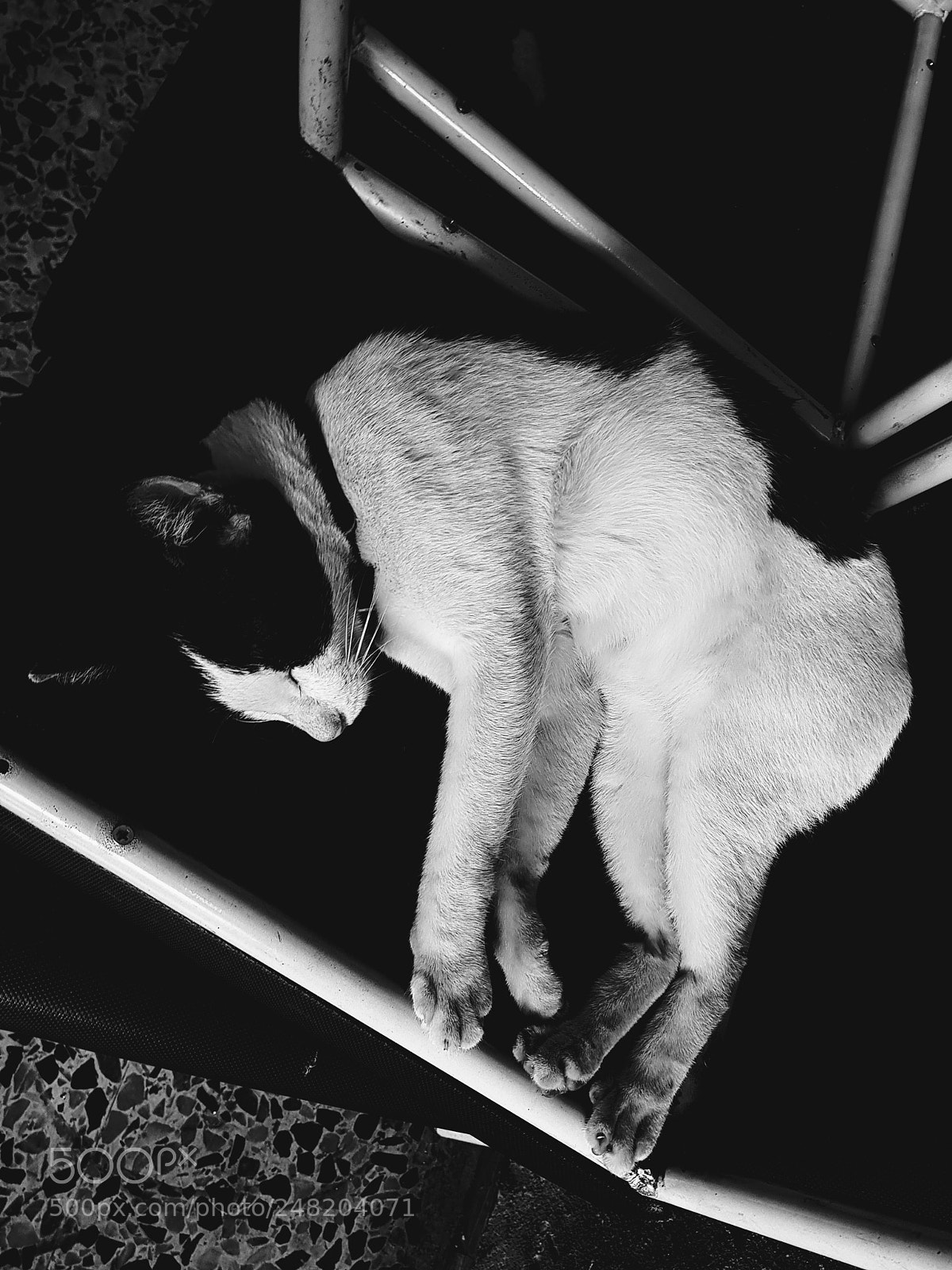 Samsung Galaxy S8+ sample photo. Untitled photography