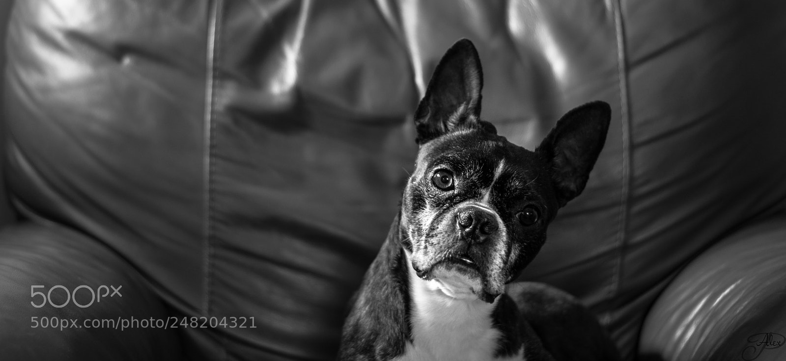 Nikon D7100 sample photo. No one on the photography