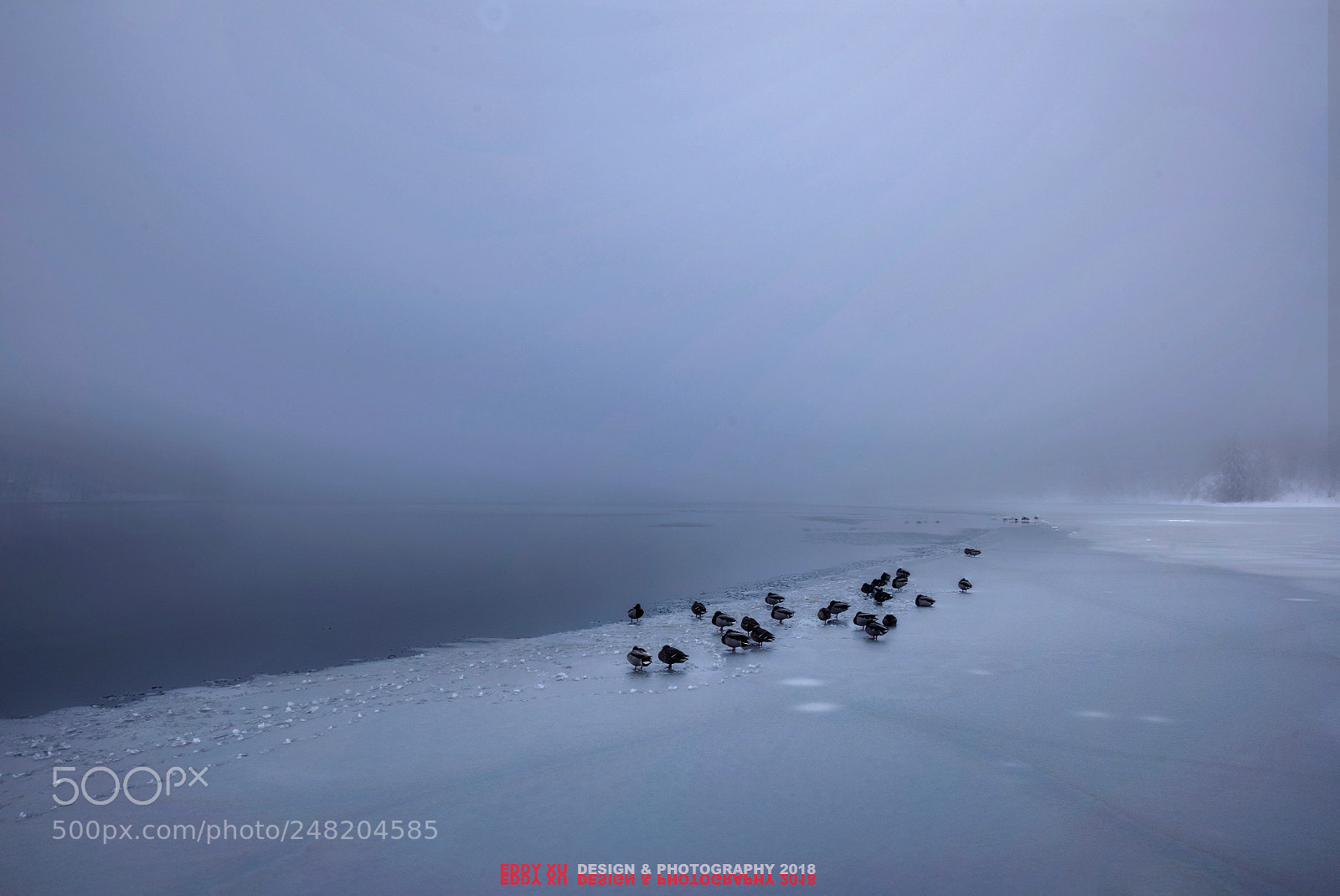 Nikon D810 sample photo. Peaceful lake in plitvi photography