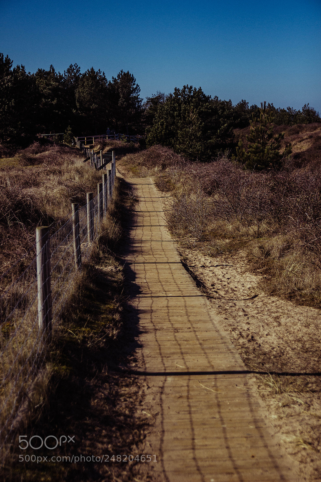 Canon EOS 600D (Rebel EOS T3i / EOS Kiss X5) sample photo. Sand dune path ways photography