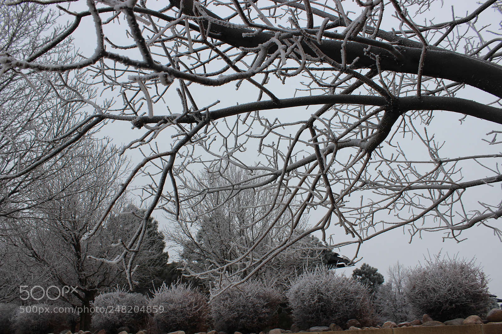 Canon EOS 600D (Rebel EOS T3i / EOS Kiss X5) sample photo. Img photography