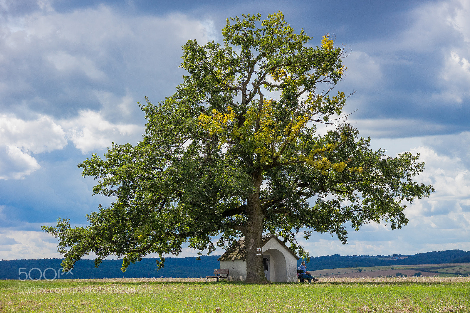 Canon EOS M10 sample photo. Chapelle under the oak photography