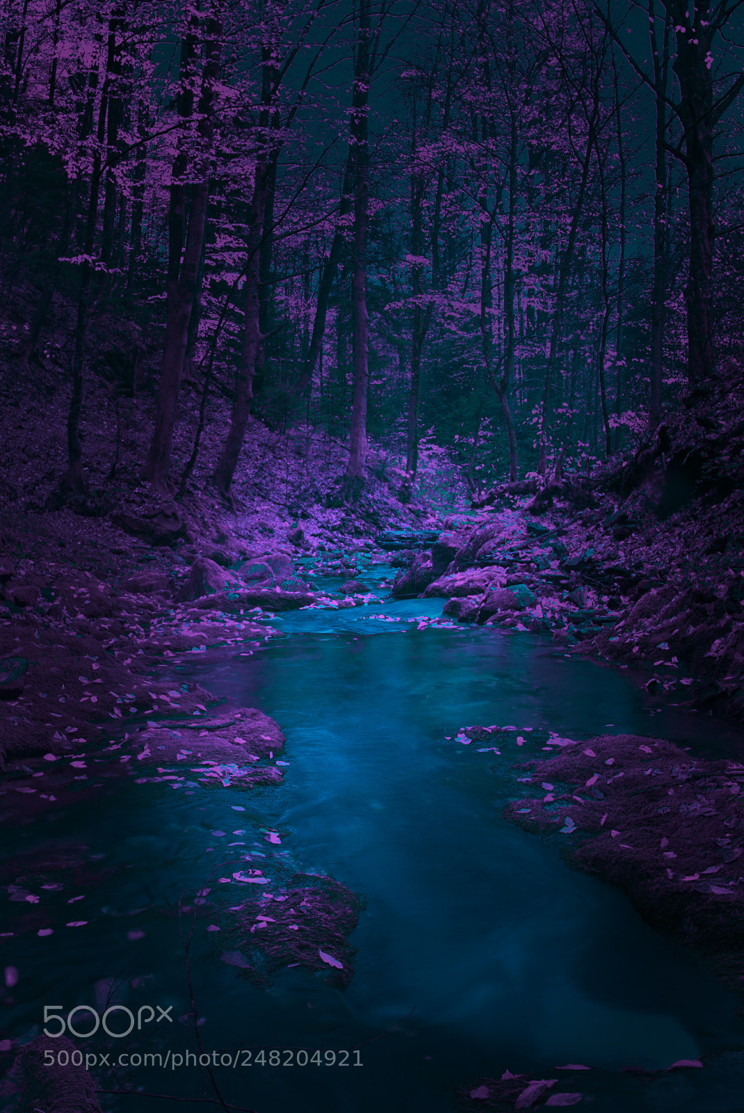 Nikon D610 sample photo. Mountain river photography