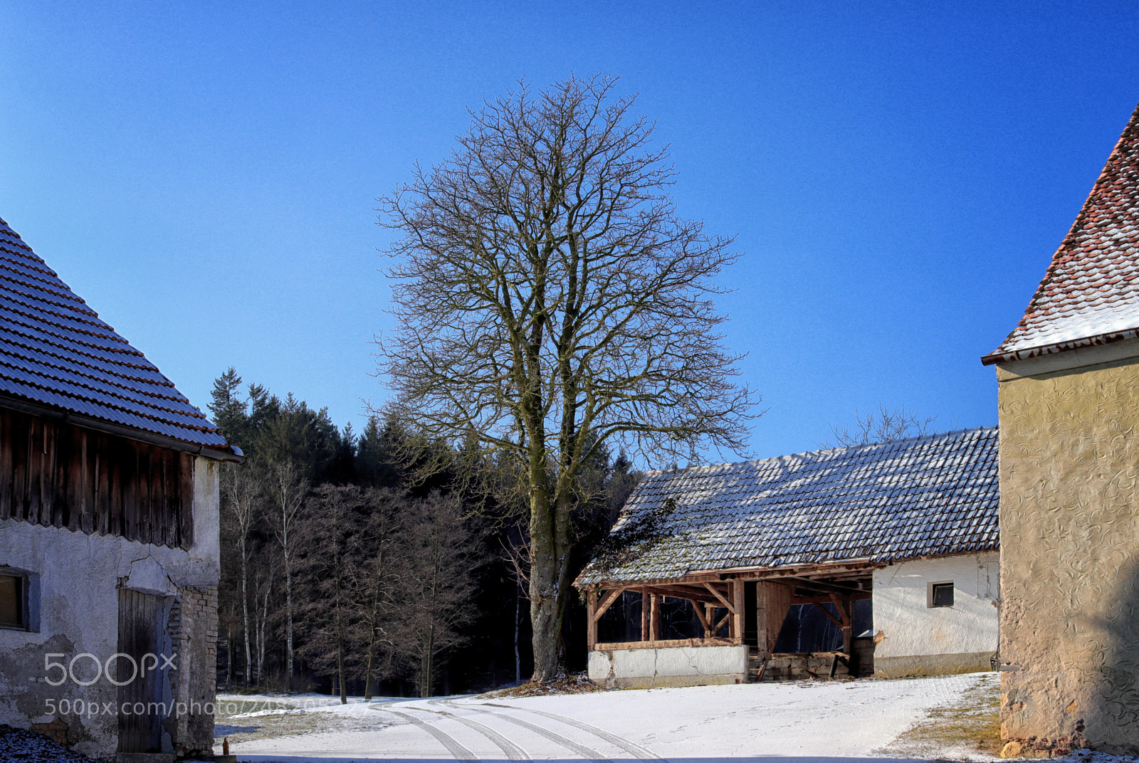 Canon EOS 200D (EOS Rebel SL2 / EOS Kiss X9) sample photo. The old farm photography