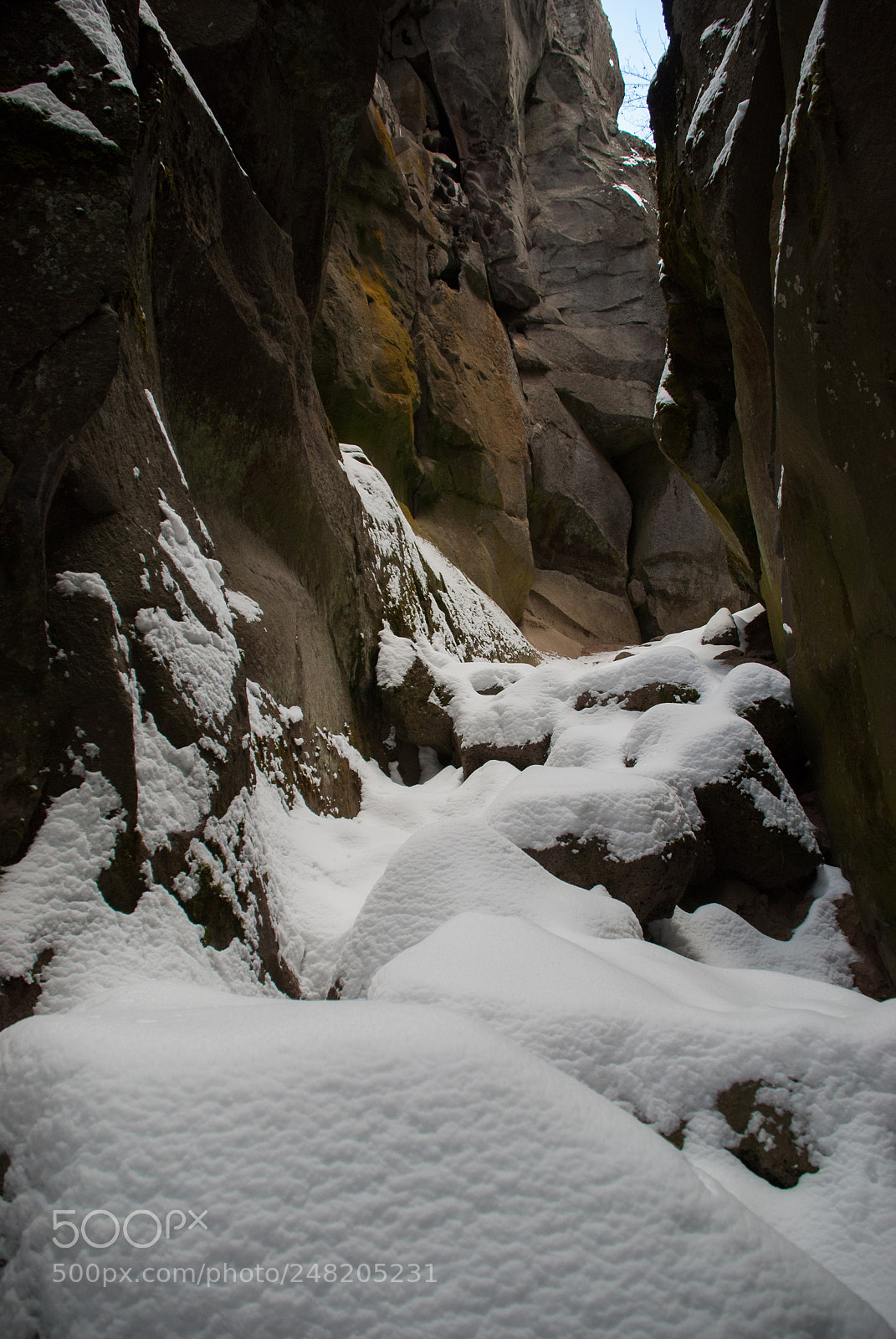 Nikon D40X sample photo. Crack in the ground photography