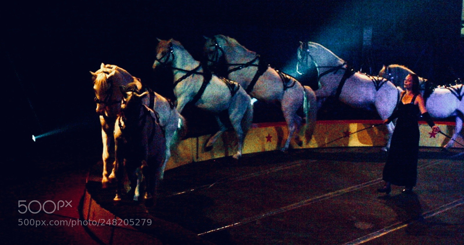 Olympus E-520 (EVOLT E-520) sample photo. Cirque estival halifax performance photography