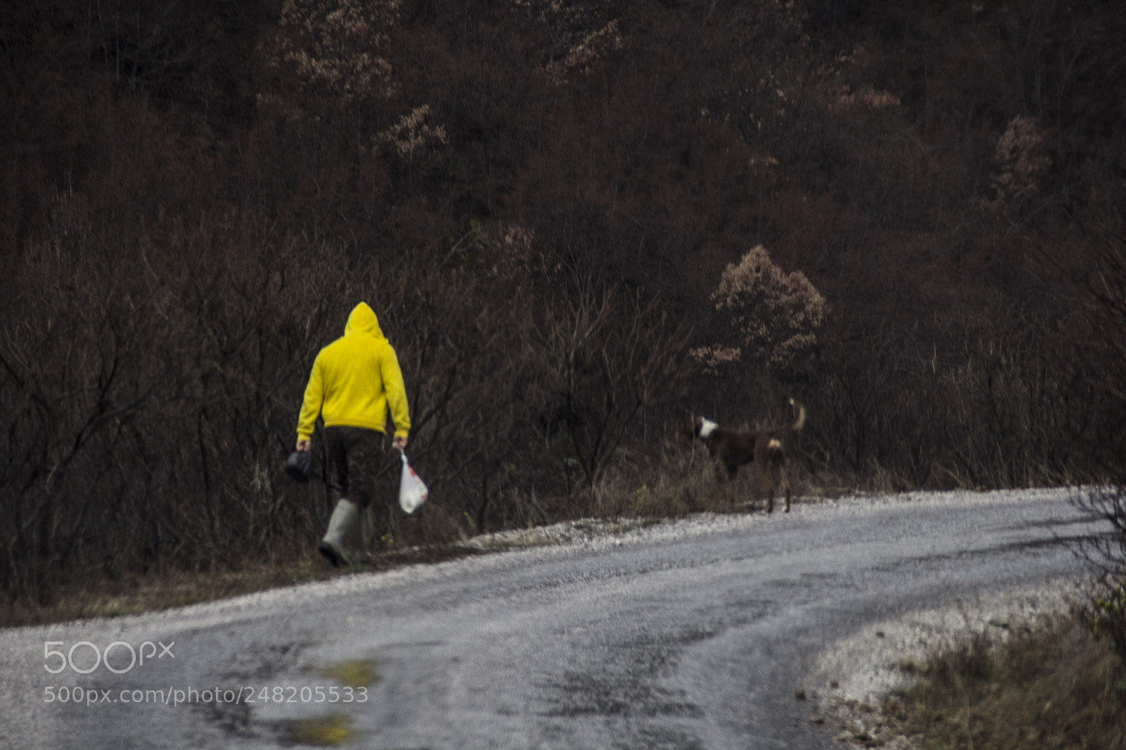 Canon EOS 60D sample photo. Yellow man photography