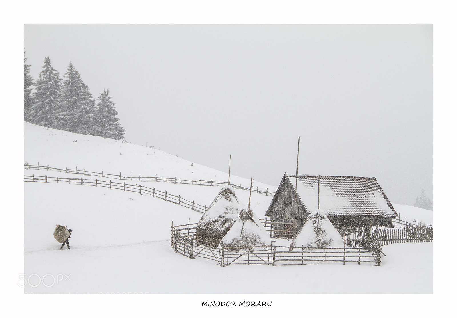 Canon EOS 7D sample photo. Quietness at her home photography