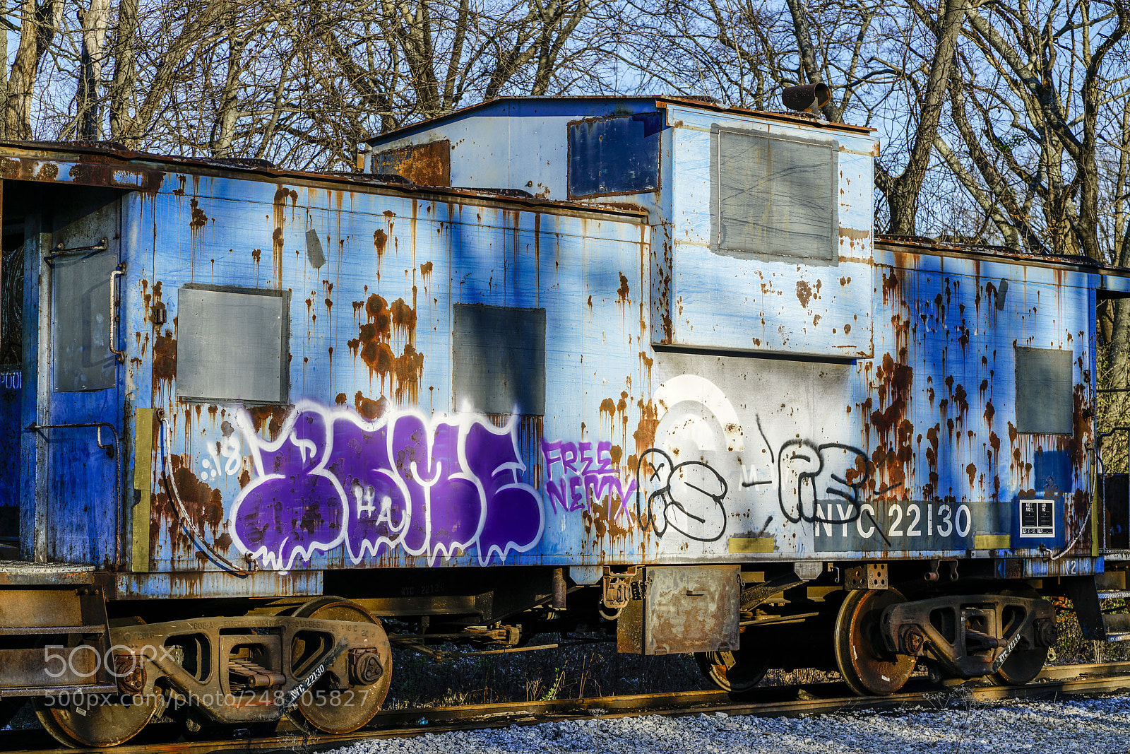 Sony a7R II sample photo. Graffiti on abandoned train photography
