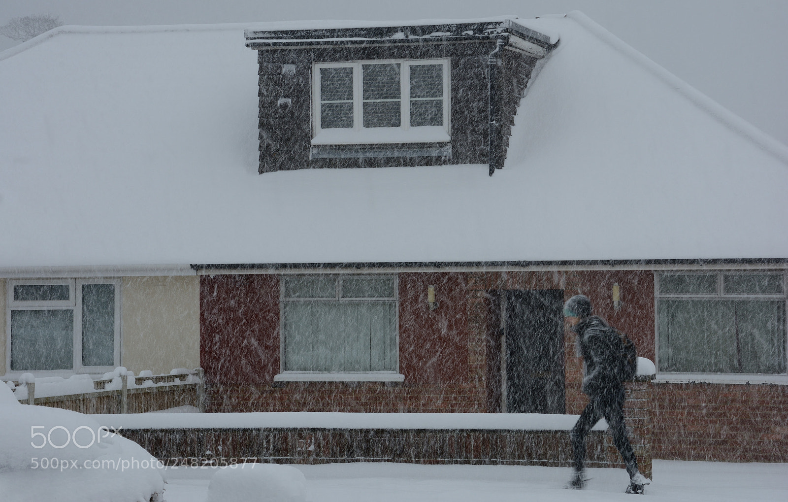 Nikon D7100 sample photo. Braving the elements photography