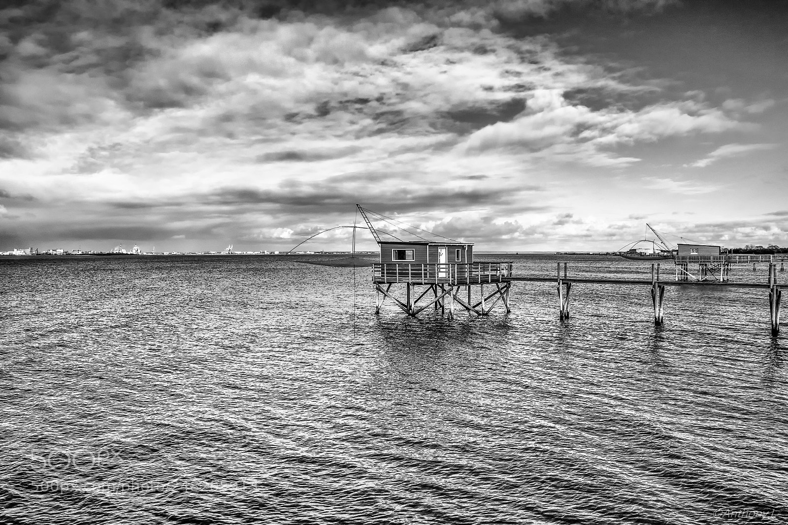 Canon EOS 7D Mark II sample photo. P cheries sur l'oc photography
