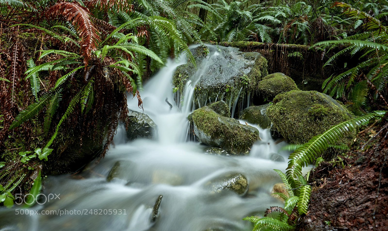 Nikon D500 sample photo. Creek photography
