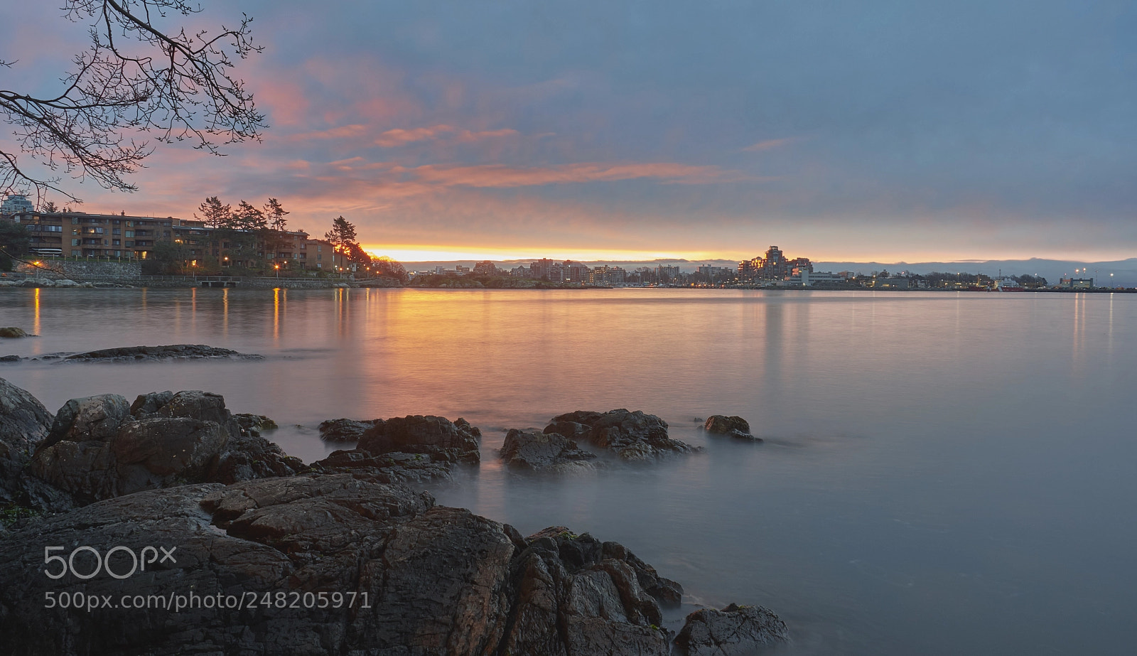 Nikon D500 sample photo. Victoria harbour from boardwalk photography