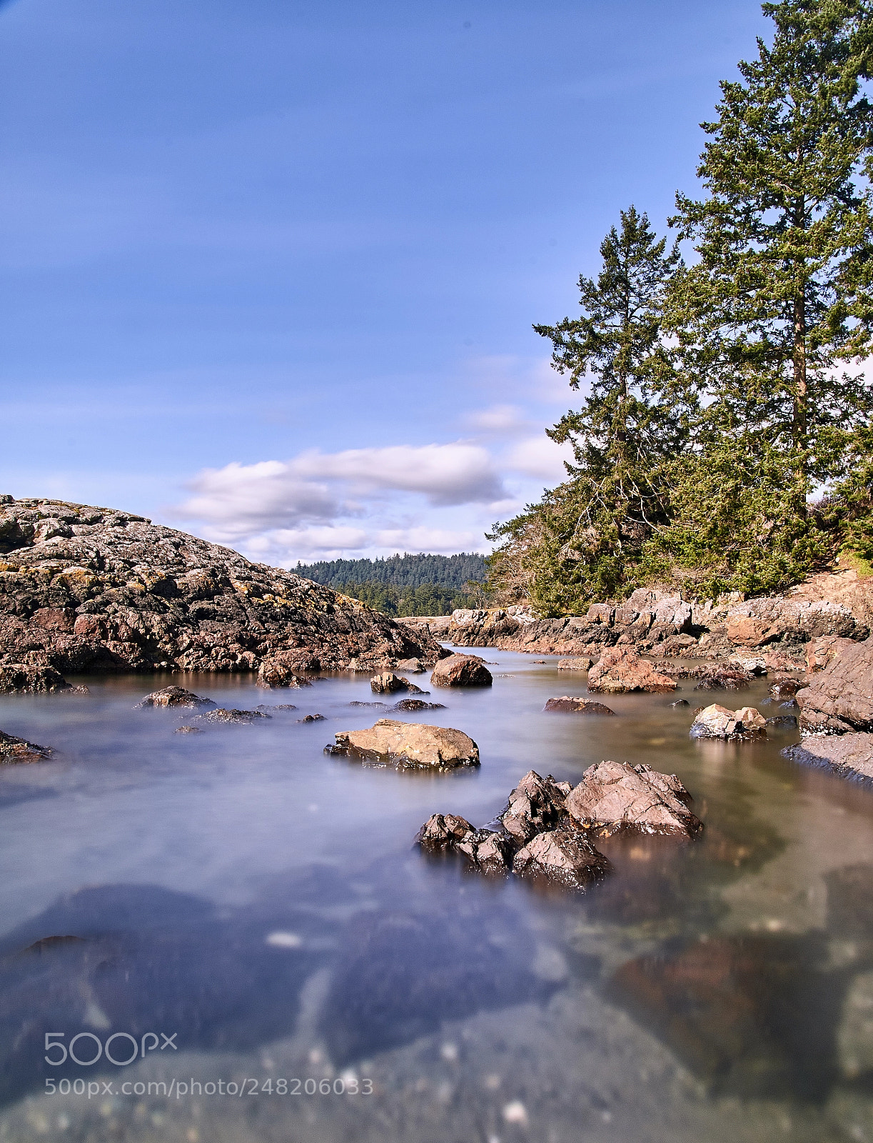 Nikon D500 sample photo. Witty's lagoon photography