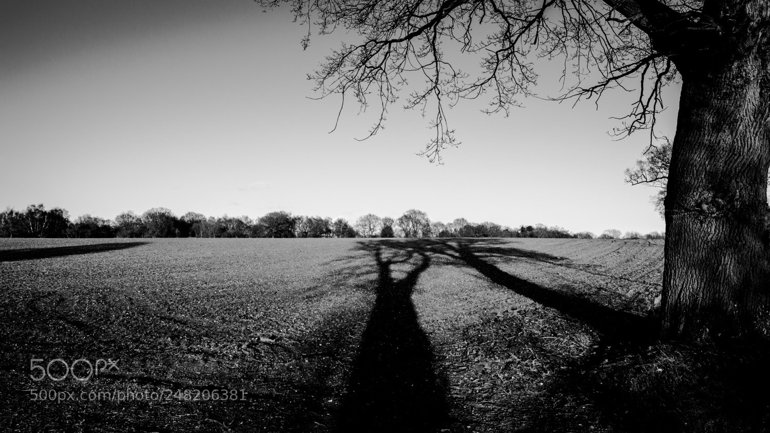 Nikon D3200 sample photo. Convergence photography