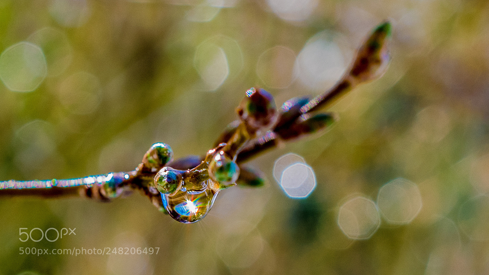 Nikon D5300 sample photo. Der schnee ist weg photography