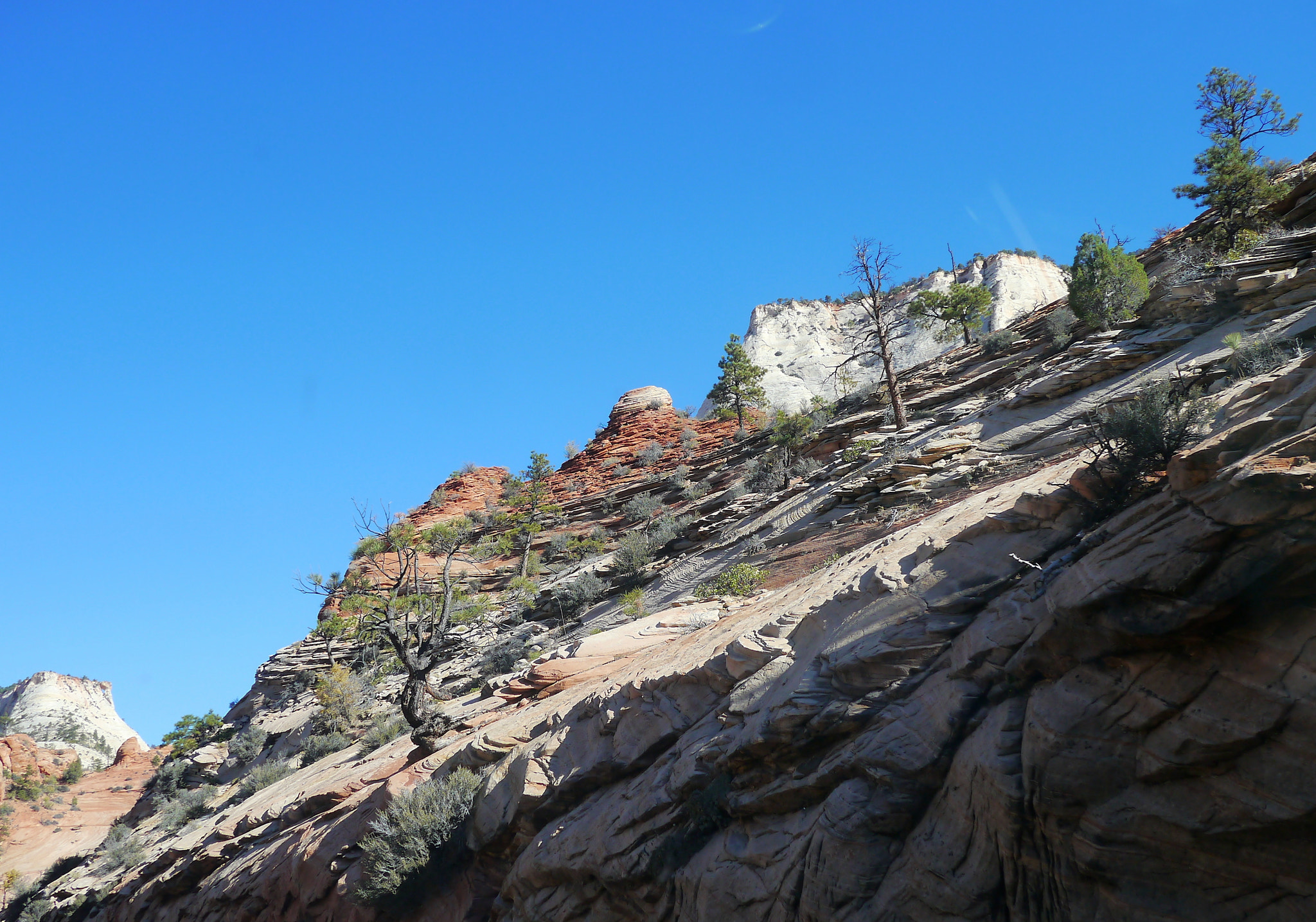 Panasonic Lumix DMC-GX1 sample photo. Westernsloped photography